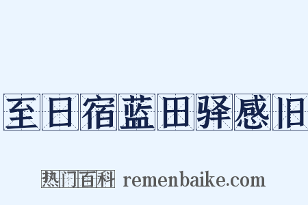 至日宿蓝田驿感旧是什么意思的图片